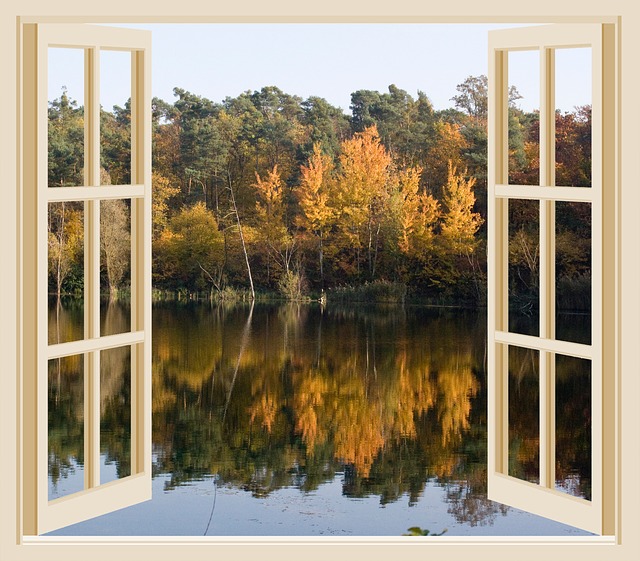 fall foliage looking out a window onto a lake